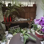 Le Petit Siam : Le Calme En Centre Clermont-Ferrand