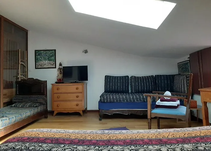 Le Petit Siam : Le Calme En Centre Hotel Clermont-Ferrand