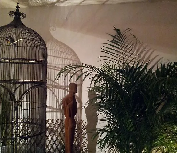 酒店 Chambres D'hotes Le Petit Siam : Le Calme En Centre *