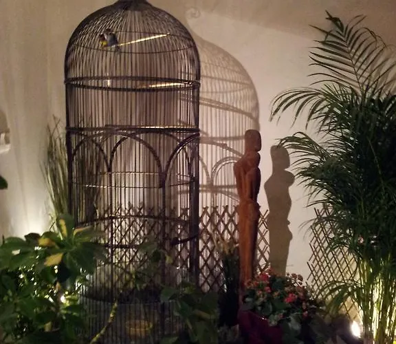 Chambres D'hotes Le Petit Siam : Le Calme En Centre 克莱蒙费朗