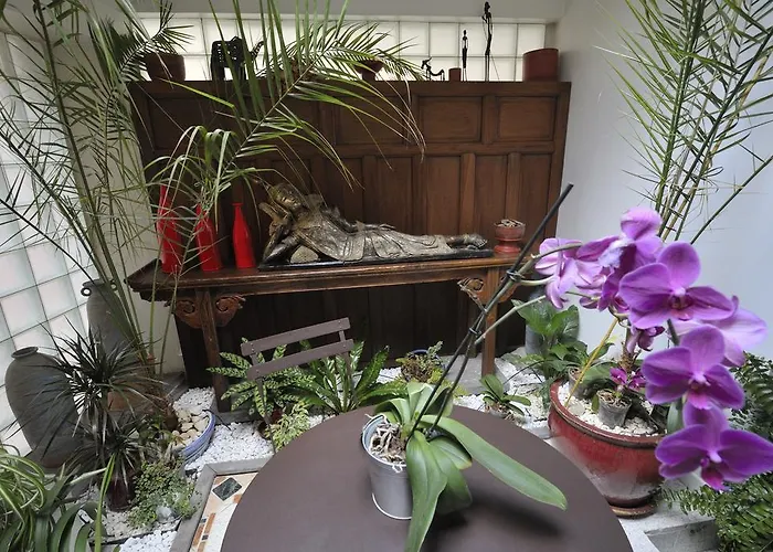 Le Petit Siam : Le Calme En Centre Clermont-Ferrand