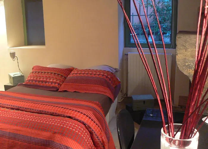 Chambres D'hotes Le Petit Siam : Le Calme En Centre * Clermont-Ferrand
